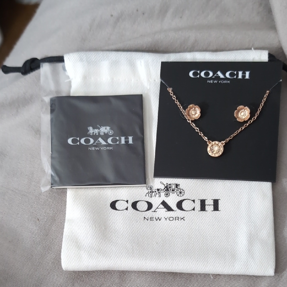 Coach Rose Gold Necklace and Earring Set